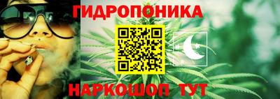 каннабис Новодвинск