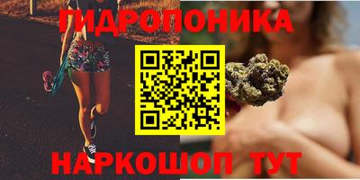 дмт Новозыбков