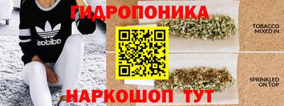 дмт Новозыбков